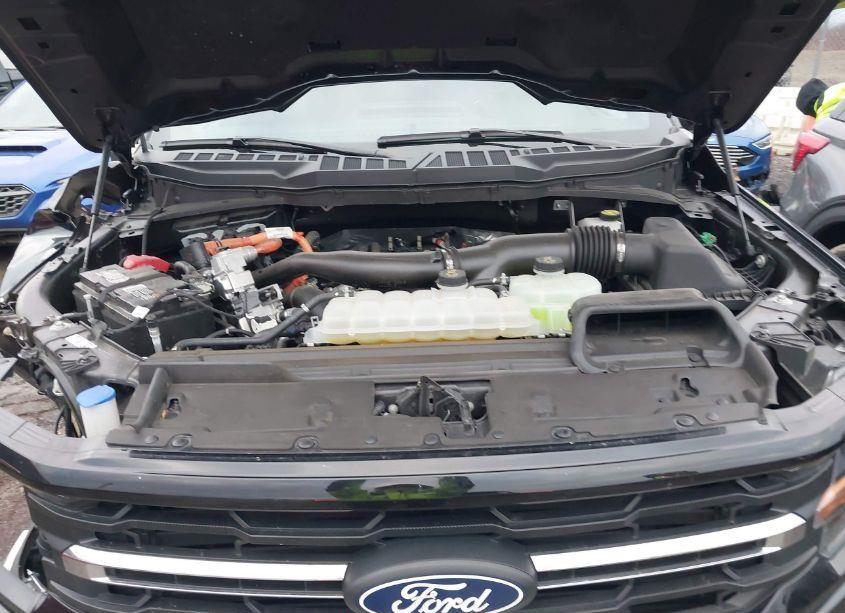 Photo 7 of 2024 Ford F-150 XLT (VIN 1FTFW3LD8RFA49191)
