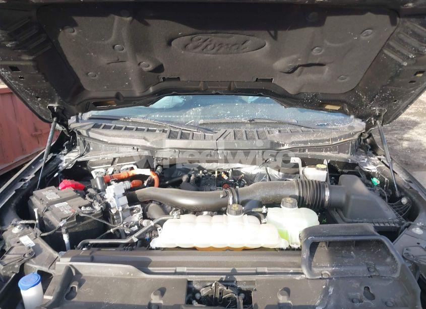 Photo 10 of 2024 Ford F-150 XLT (VIN 1FTFW3LD9RFA81602)