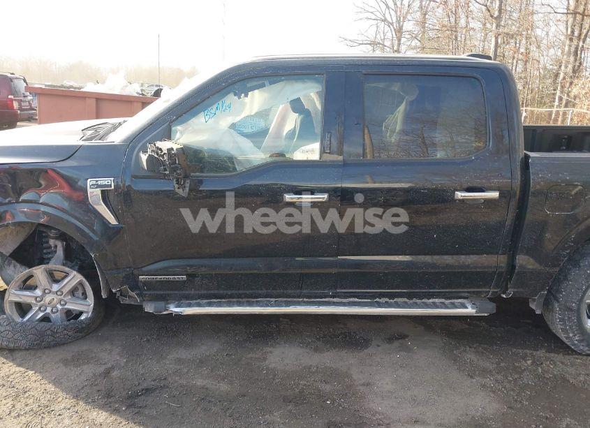 Photo 14 of 2024 Ford F-150 XLT (VIN 1FTFW3LD9RFA81602)