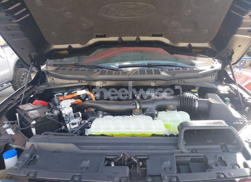 Photo 10 of 2024 Ford F-150 XLT (VIN 1FTFW3LDXRFB56503)