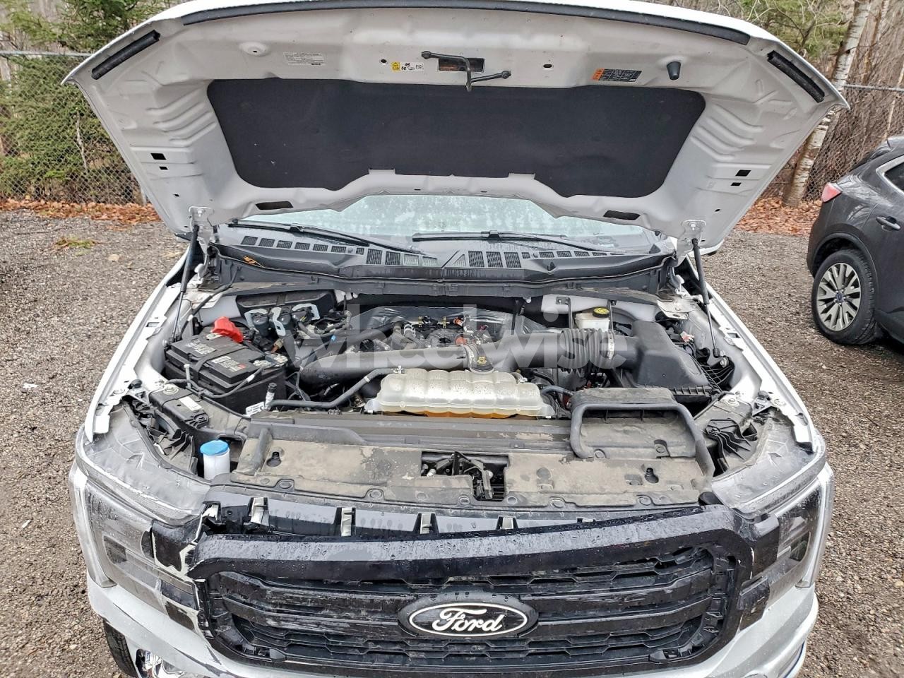 Photo 11 of 2024 FORD F150 LARIAT (VIN 1FTFW5L88RFA52901)