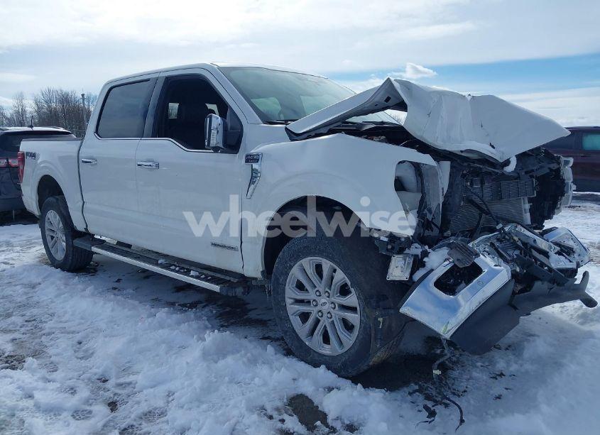 2024 Ford F-150 LARIAT (VIN 1FTFW5LD8RFB34639) main photo