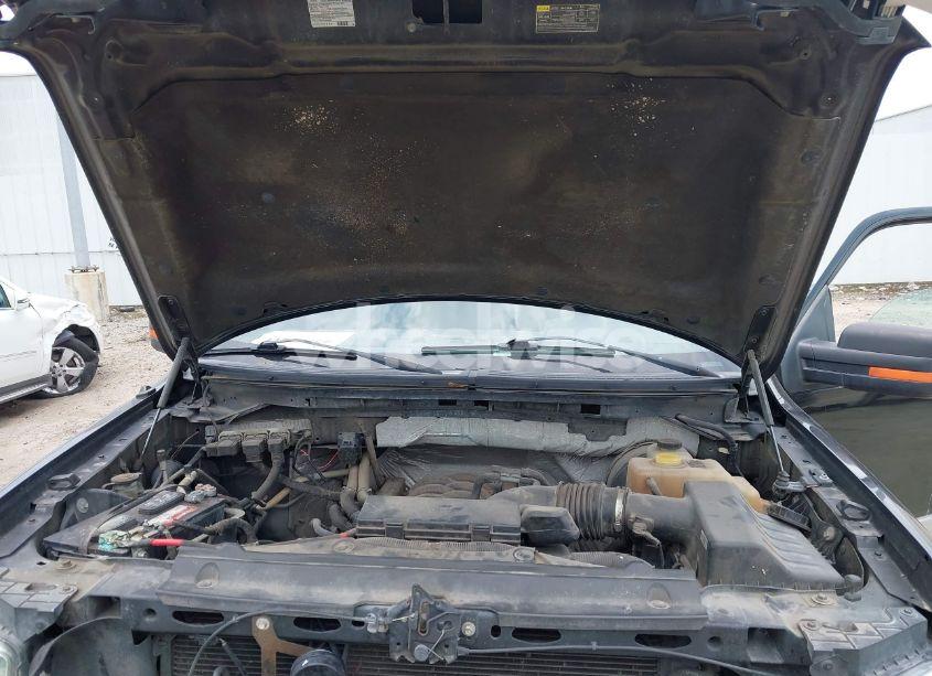 Photo 10 of 2013 Ford F-150 XLT (VIN 1FTFX1CF0DFA21624)