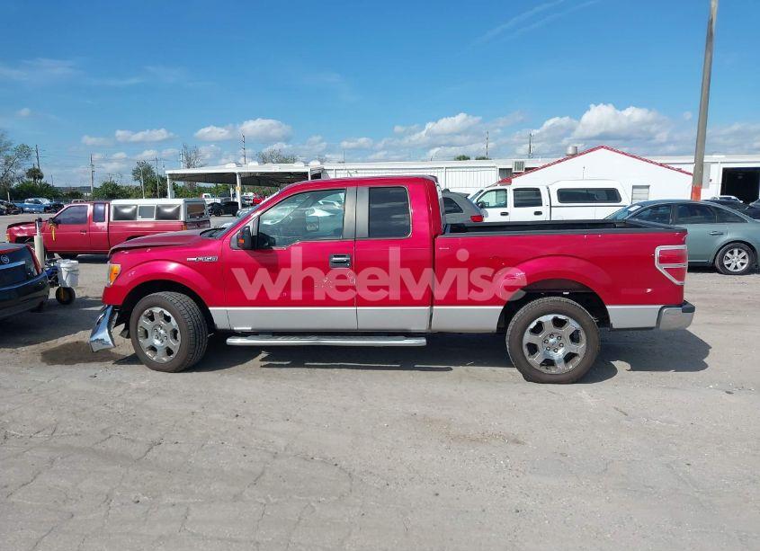 Photo 14 of 2011 Ford F-150 XLT (VIN 1FTFX1CF1BFB00278)