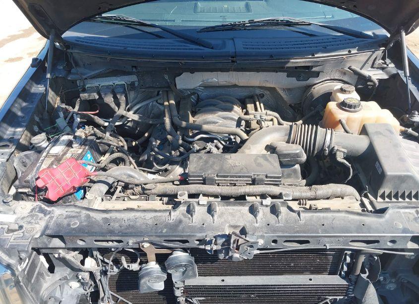 Photo 10 of 2013 Ford F-150 STX (VIN 1FTFX1CF1DFB49645)