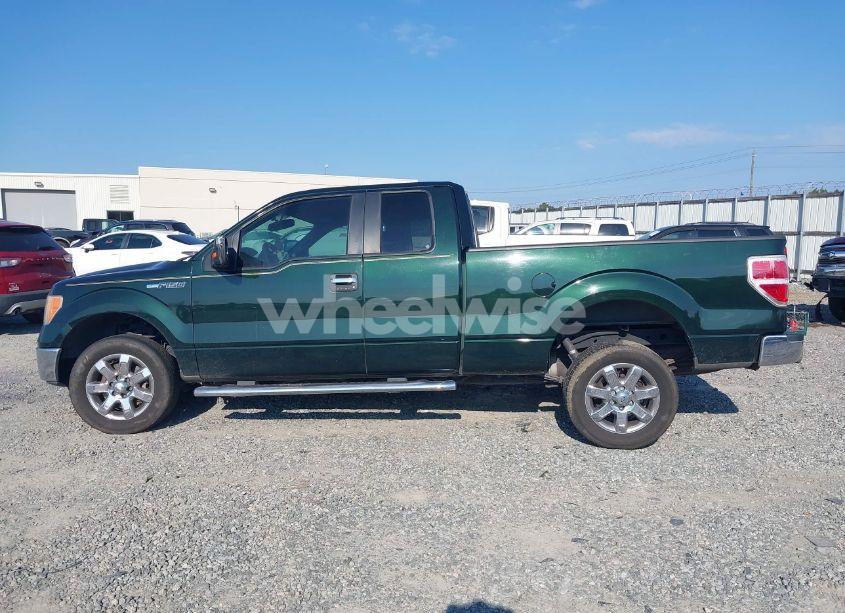 Photo 14 of 2013 Ford F-150 XLT (VIN 1FTFX1CF3DFA87066)