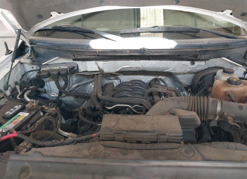 Photo 10 of 2013 Ford F-150 STX (VIN 1FTFX1CF3DKD78867)