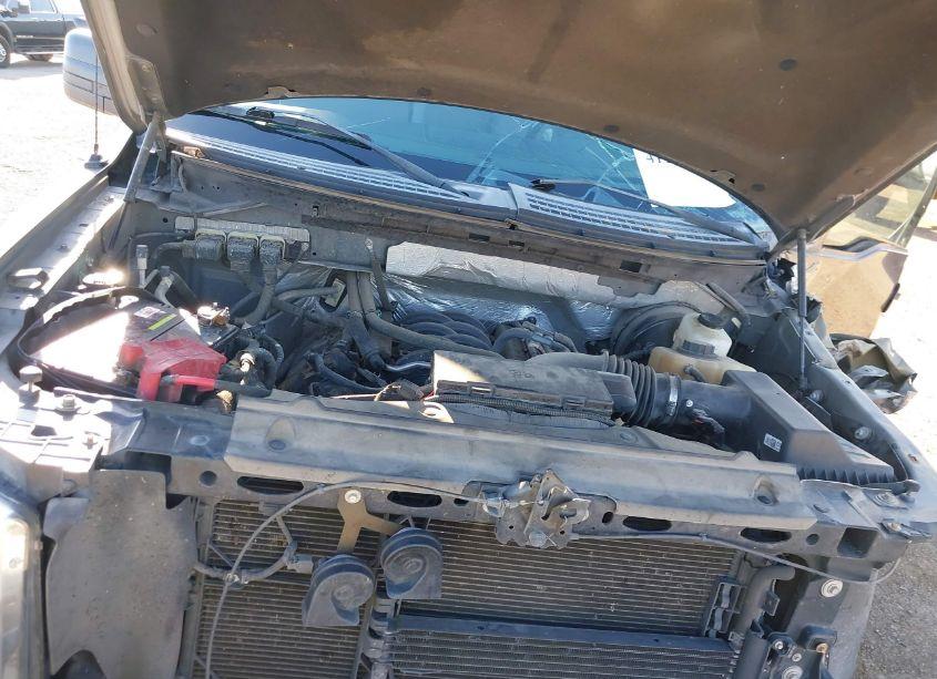 Photo 10 of 2013 Ford F-150 STX (VIN 1FTFX1CF4DFA37292)