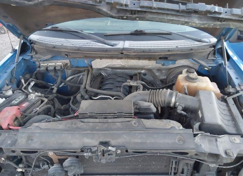 Photo 10 of 2013 Ford F-150 STX (VIN 1FTFX1CF4DFB45346)