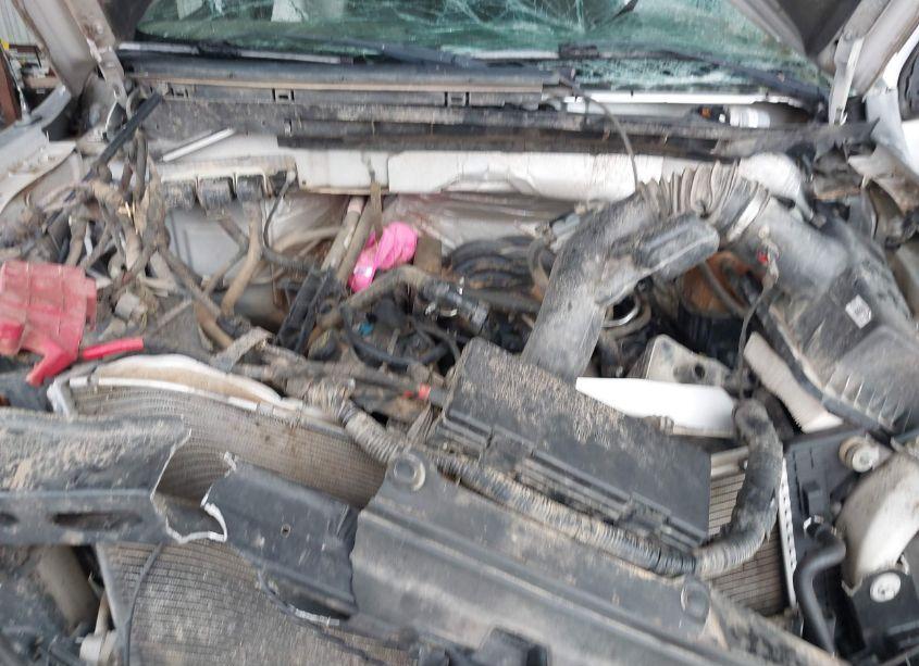 Photo 10 of 2013 Ford F-150 XLT (VIN 1FTFX1CF5DFB04188)