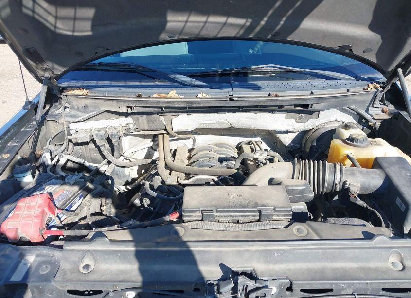 Photo 10 of 2013 Ford F-150 STX (VIN 1FTFX1CF6DKF83289)