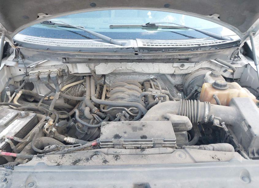 Photo 10 of 2013 Ford F-150 STX (VIN 1FTFX1CF7DFB95738)