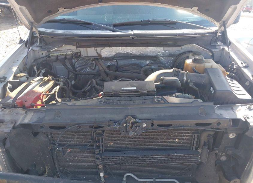 Photo 10 of 2013 Ford F-150 STX (VIN 1FTFX1CF7DKE22014)
