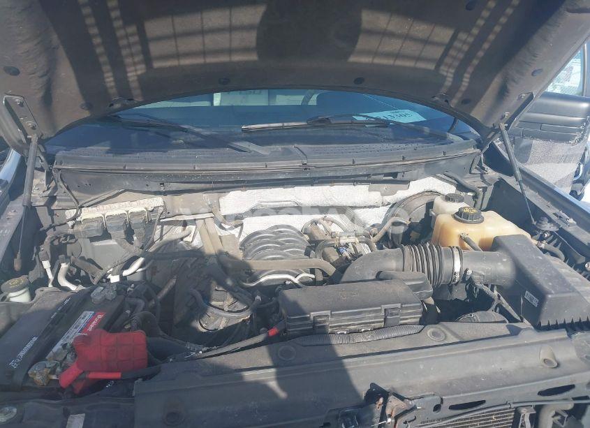 Photo 10 of 2013 Ford F-150 STX (VIN 1FTFX1CF8DKD57142)