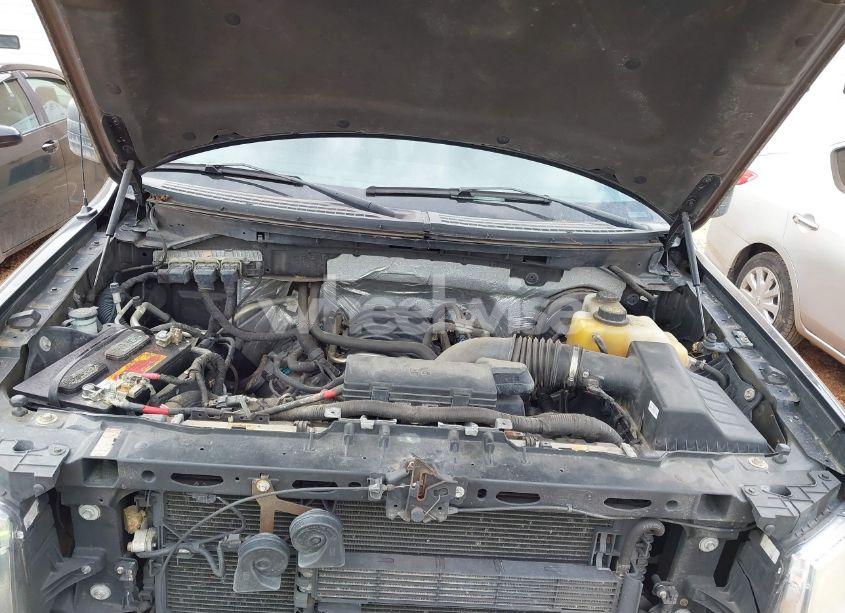 Photo 10 of 2013 Ford F-150 STX (VIN 1FTFX1CF9DKG19444)