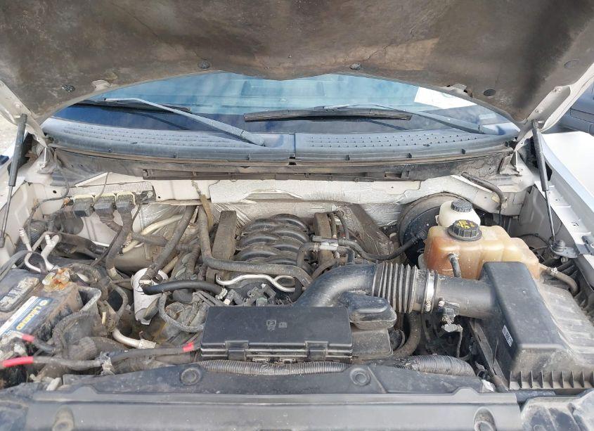 Photo 10 of 2013 Ford F-150 XLT (VIN 1FTFX1CFXDFA21212)