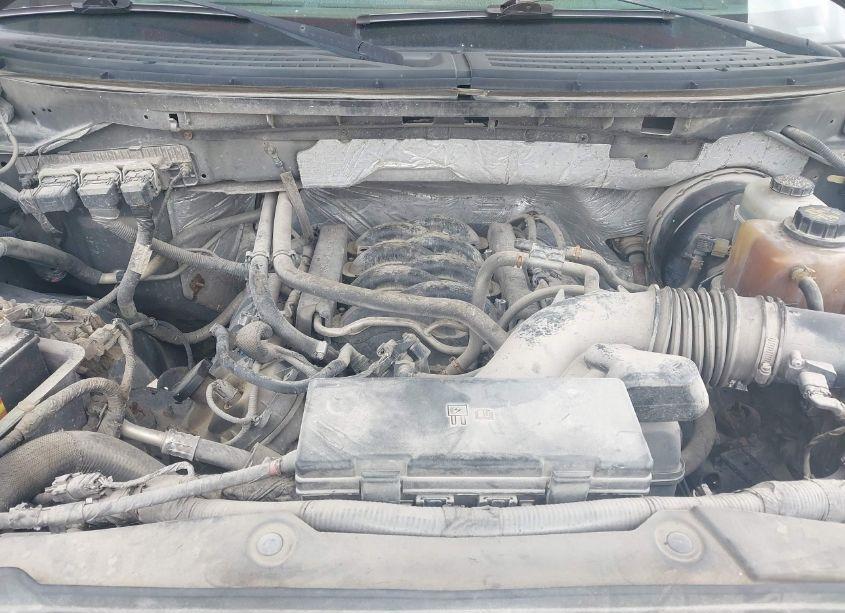 Photo 10 of 2013 Ford F-150 XLT (VIN 1FTFX1CFXDFA75237)