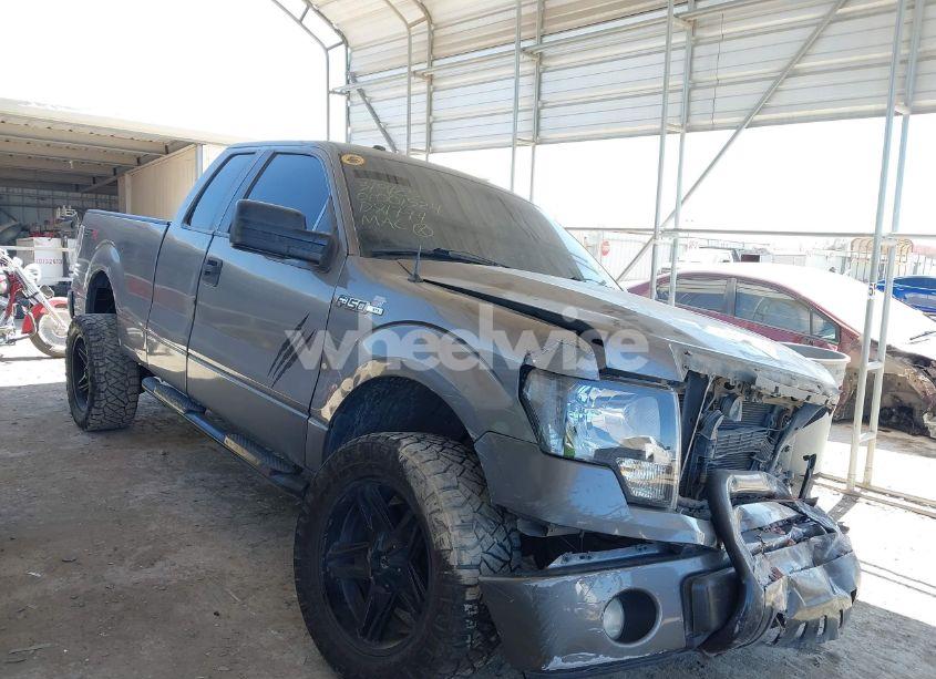 2013 Ford F-150 STX (VIN 1FTFX1CFXDFD81774) main photo