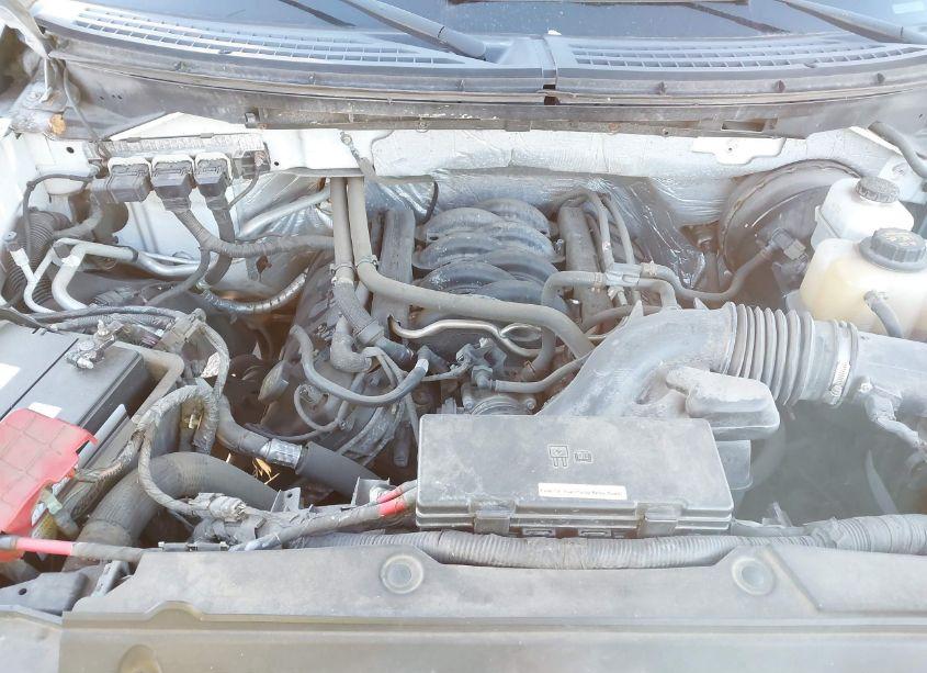 Photo 10 of 2013 Ford F-150 XL (VIN 1FTFX1CFXDKG34616)