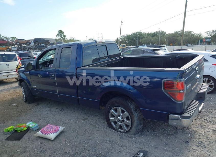 Photo 14 of 2013 Ford F-150 XLT (VIN 1FTFX1CT3DFD00880)