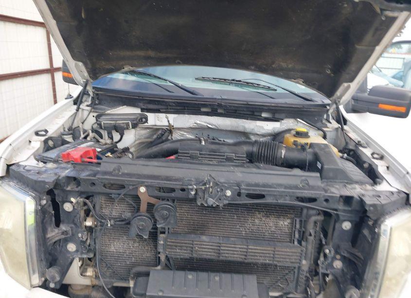 Photo 10 of 2014 Ford F-150 XLT (VIN 1FTFX1CT6EFD12541)