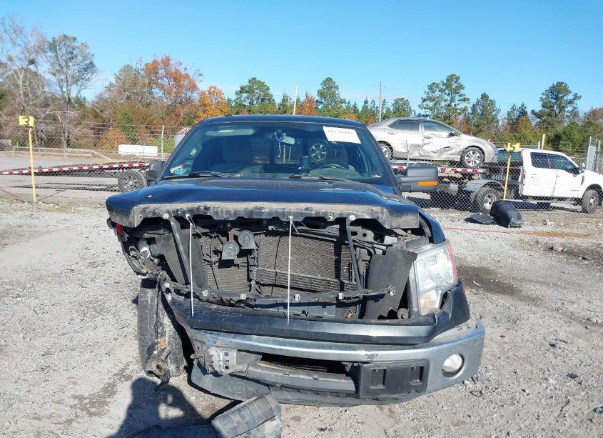 Photo 12 of 2011 Ford F-150 XLT (VIN 1FTFX1CT8BFB14832)