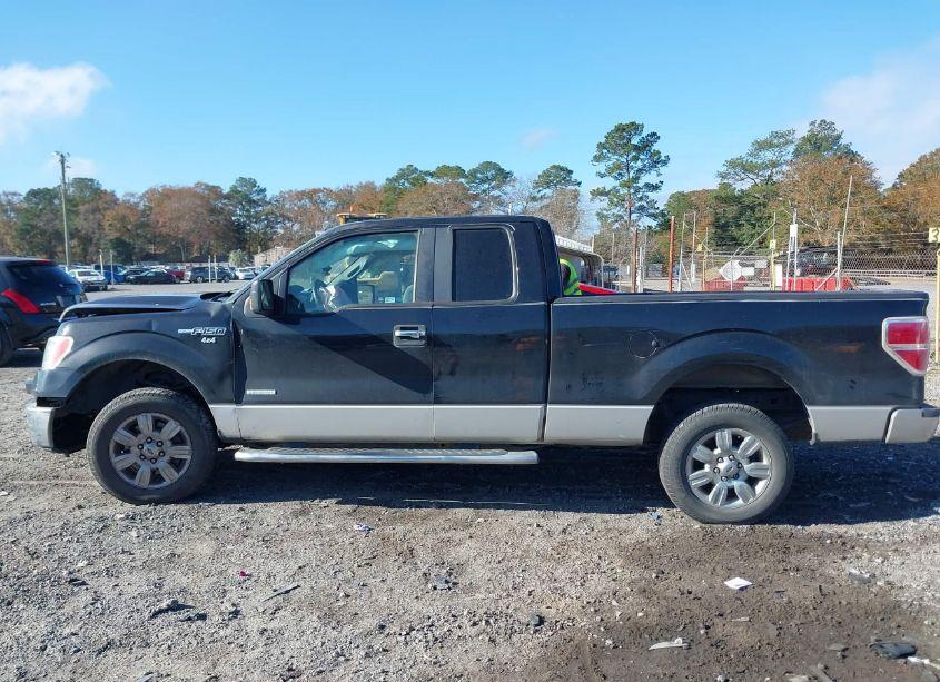 Photo 14 of 2011 Ford F-150 XLT (VIN 1FTFX1CT8BFB14832)