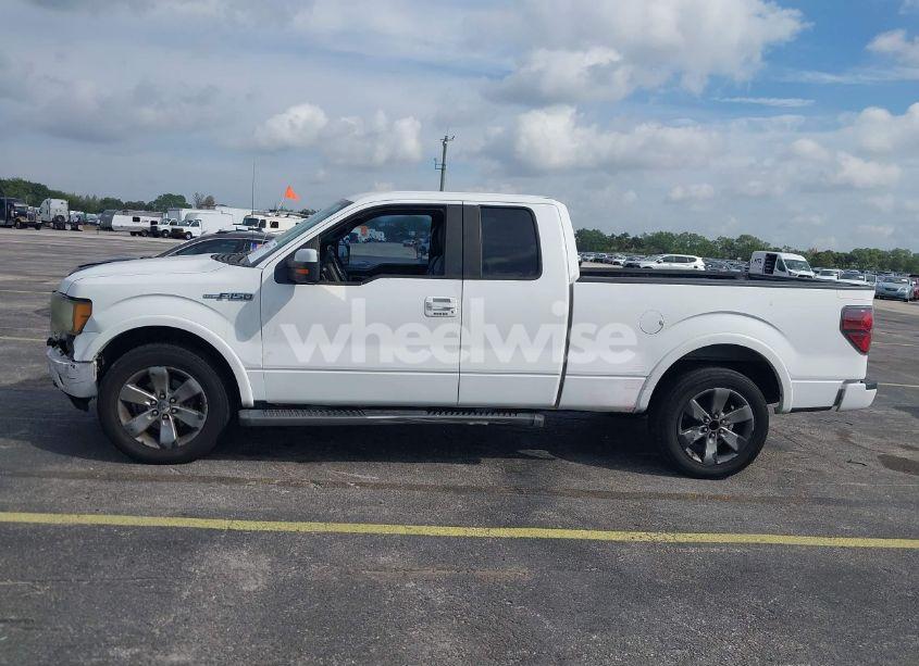 Photo 14 of 2010 Ford F-150 FX2 SPORT/LARIAT/XL/XLT (VIN 1FTFX1CV0AKE45296)
