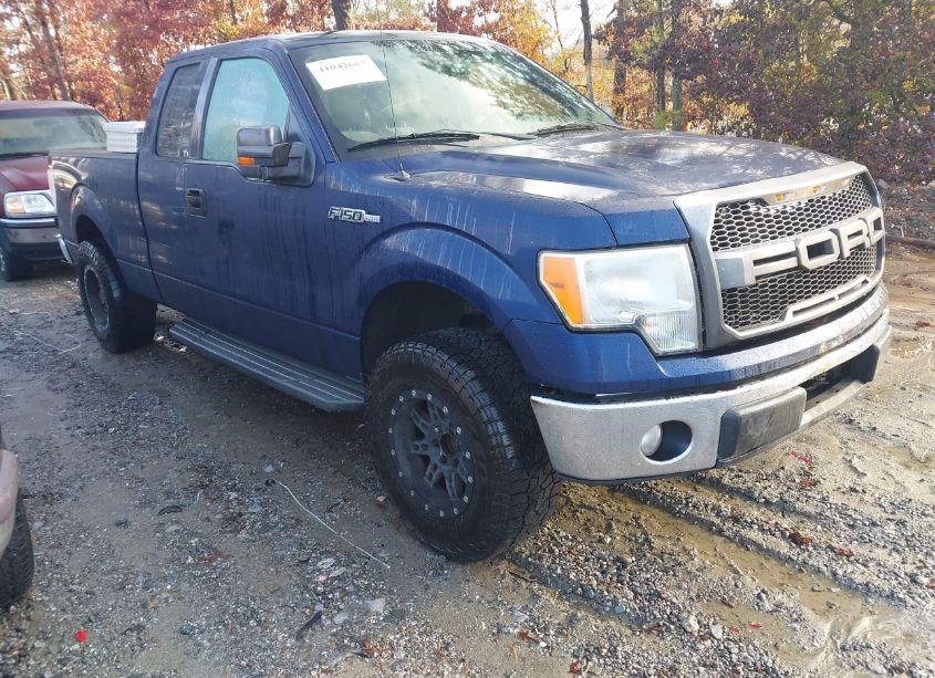 2010 Ford F-150 FX2 SPORT/LARIAT/XL/XLT (VIN 1FTFX1CV1AKE17118) main photo