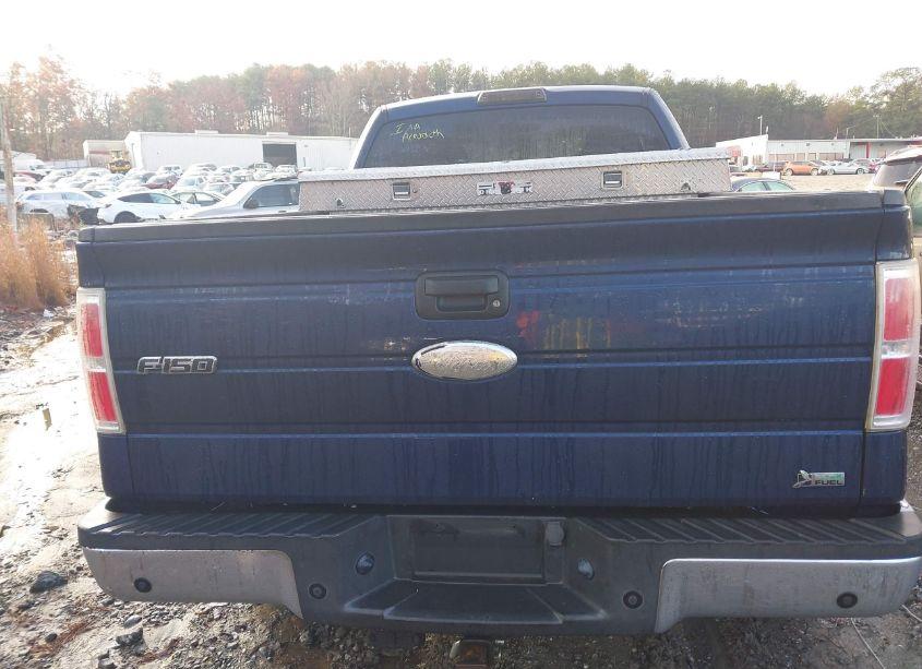 Photo 16 of 2010 Ford F-150 FX2 SPORT/LARIAT/XL/XLT (VIN 1FTFX1CV1AKE17118)