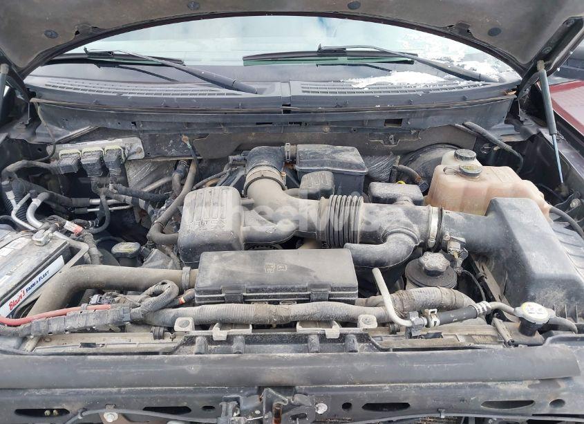 Photo 10 of 2010 Ford F-150 FX2 SPORT/LARIAT/XL/XLT (VIN 1FTFX1CVXAFA86435)