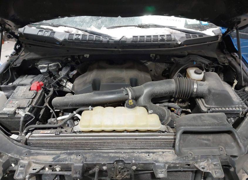 Photo 10 of 2019 Ford F-150 XLT (VIN 1FTFX1E41KFC94600)