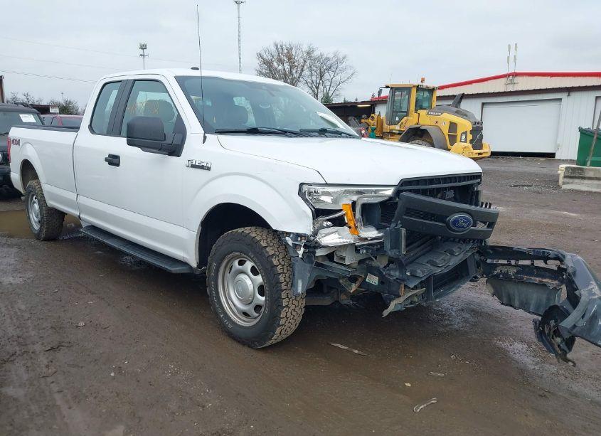 2019 Ford F-150 XL (VIN 1FTFX1E46KKE82973) main photo