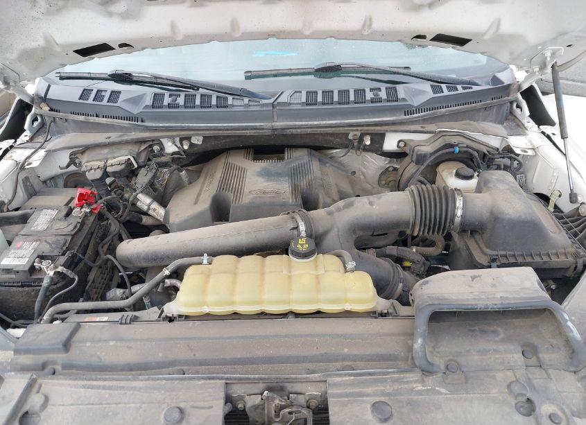 Photo 10 of 2019 Ford F-150 XL (VIN 1FTFX1E46KKE82973)