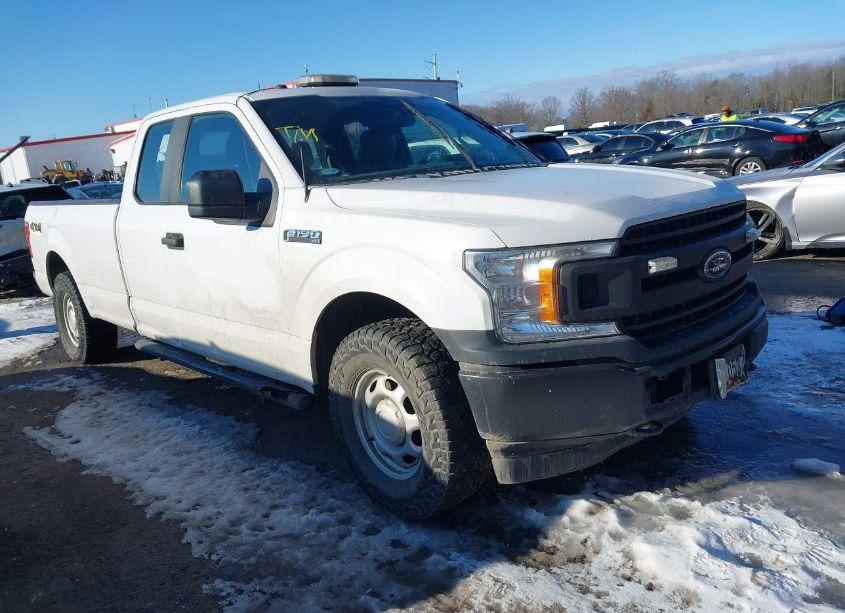 2019 Ford F-150 XL (VIN 1FTFX1E4XKKC74451) main photo