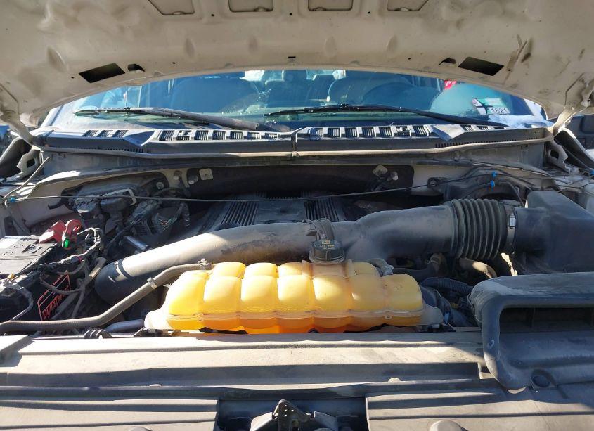 Photo 10 of 2019 Ford F-150 XL (VIN 1FTFX1E4XKKC74451)