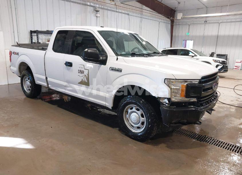 2019 Ford F-150 XL (VIN 1FTFX1E52KKD58045) main photo