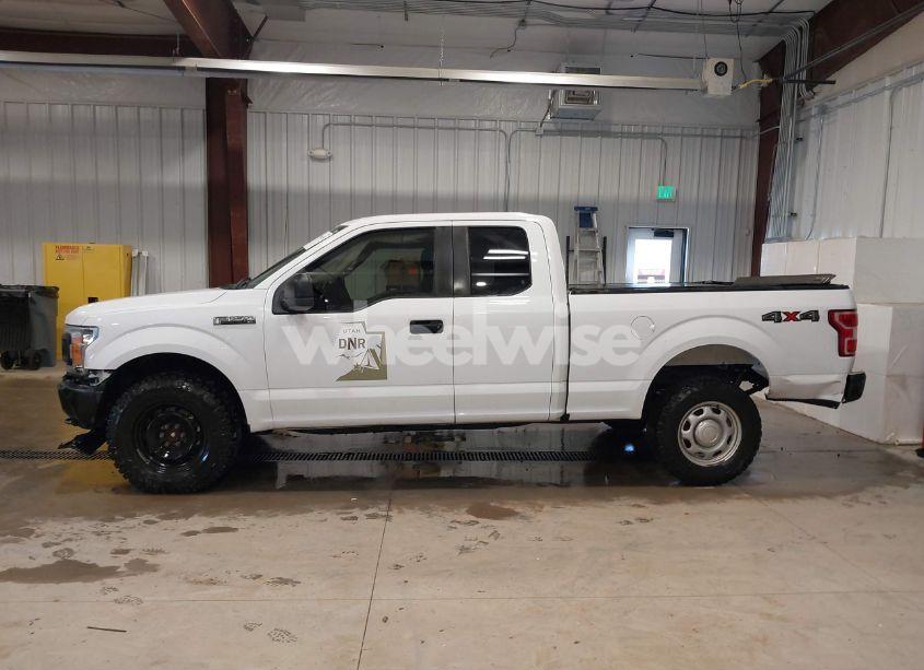 Photo 14 of 2019 Ford F-150 XL (VIN 1FTFX1E52KKD58045)