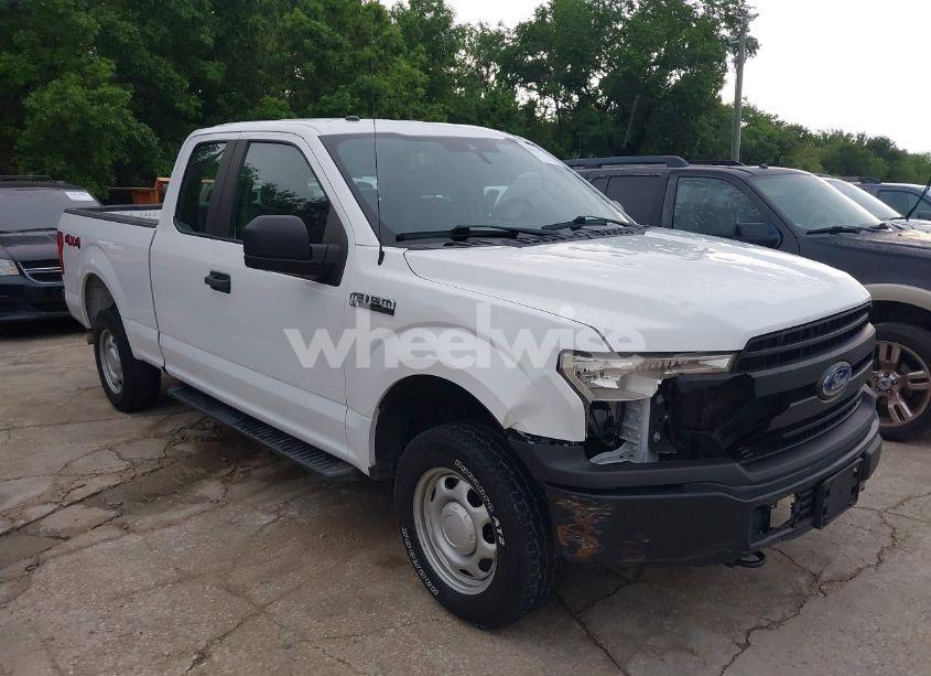 2019 Ford F-150 XL (VIN 1FTFX1E52KKD85150) main photo