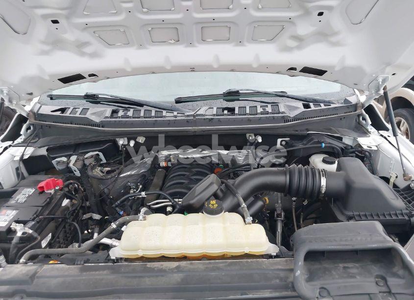 Photo 10 of 2019 Ford F-150 XL (VIN 1FTFX1E52KKD85150)