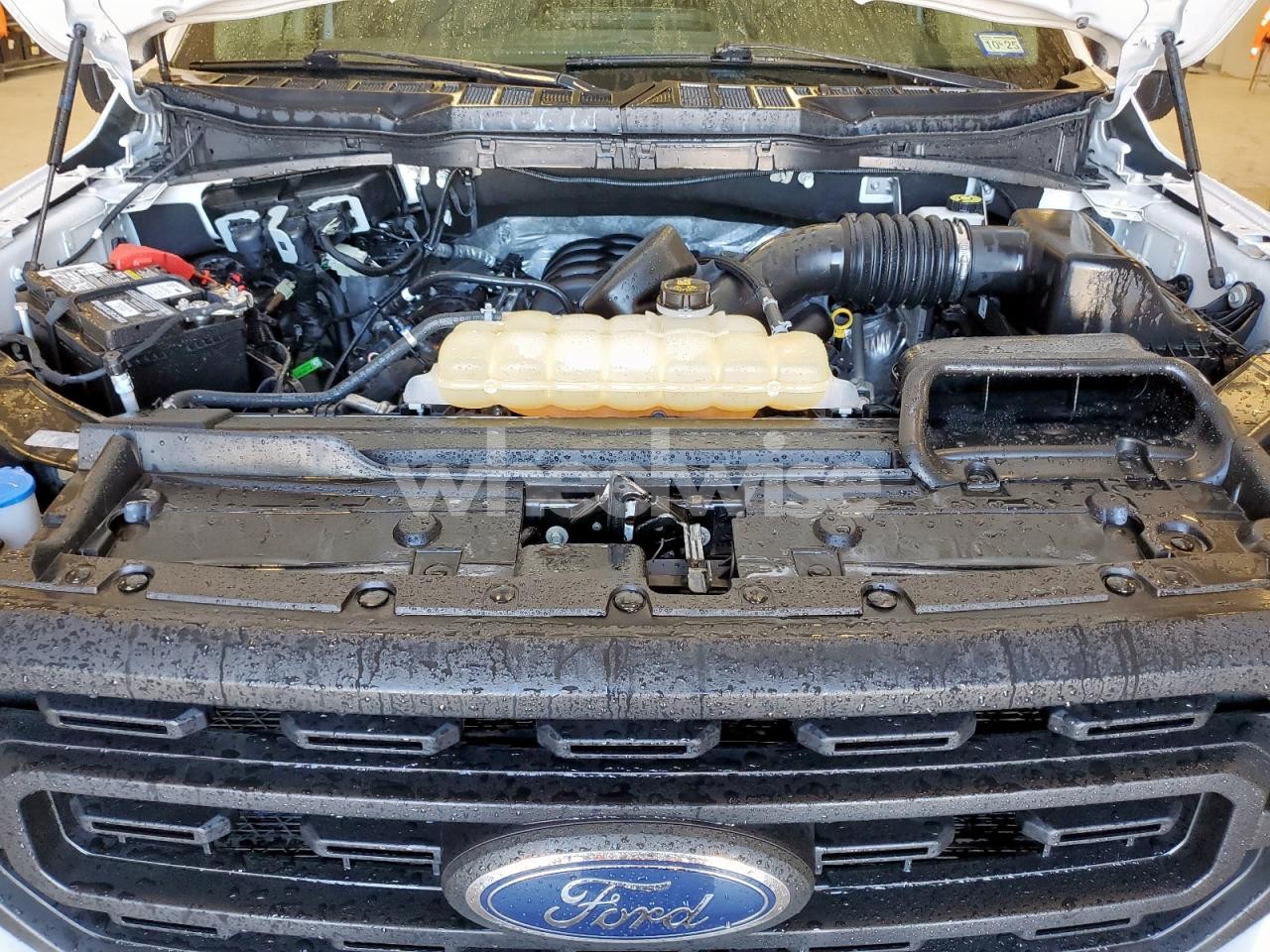 Photo 11 of 2021 FORD F150 SUPER CAB (VIN 1FTFX1E56MKE65800)