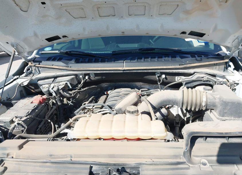 Photo 10 of 2019 Ford F-150 XL (VIN 1FTFX1E59KKC17232)