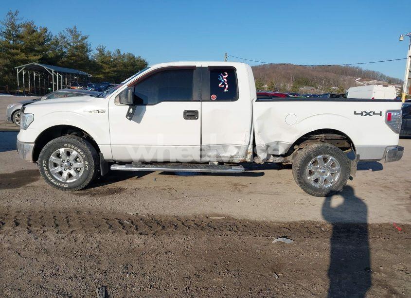 Photo 14 of 2011 Ford F-150 XLT (VIN 1FTFX1EF0BFA37199)