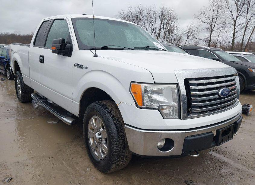 2011 Ford F-150 XLT (VIN 1FTFX1EF0BFA58005) main photo