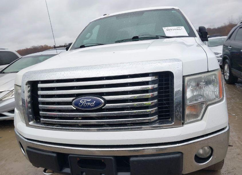 Photo 12 of 2011 Ford F-150 XLT (VIN 1FTFX1EF0BFA58005)