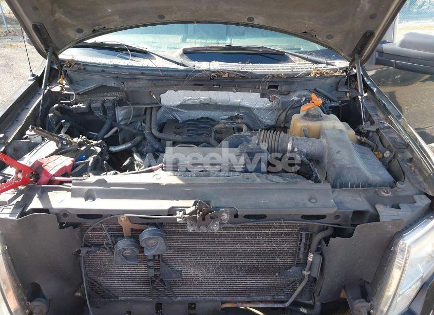 Photo 10 of 2011 Ford F-150 XLT (VIN 1FTFX1EF1BFA36935)