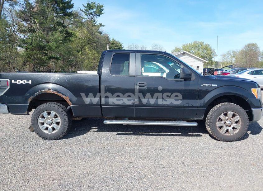 Photo 14 of 2011 Ford F-150 XLT (VIN 1FTFX1EF1BFA36935)