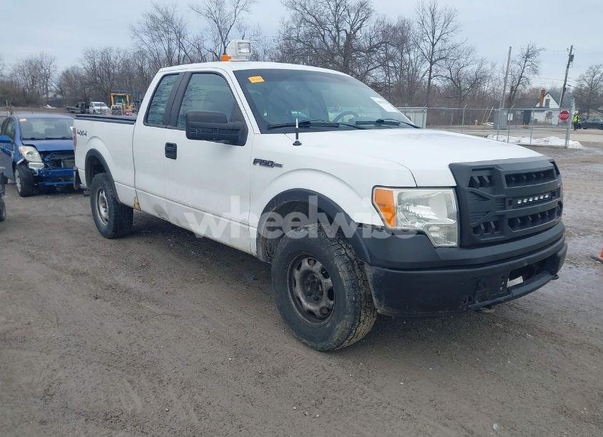2011 Ford F-150 XL (VIN 1FTFX1EF1BFC08039) main photo