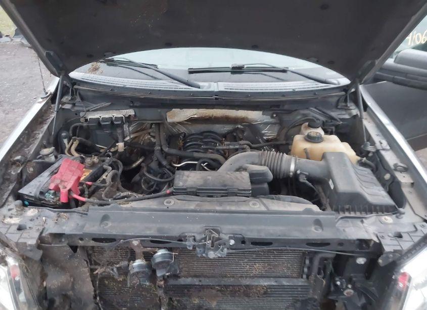 Photo 10 of 2012 Ford F-150 STX (VIN 1FTFX1EF1CFB43310)