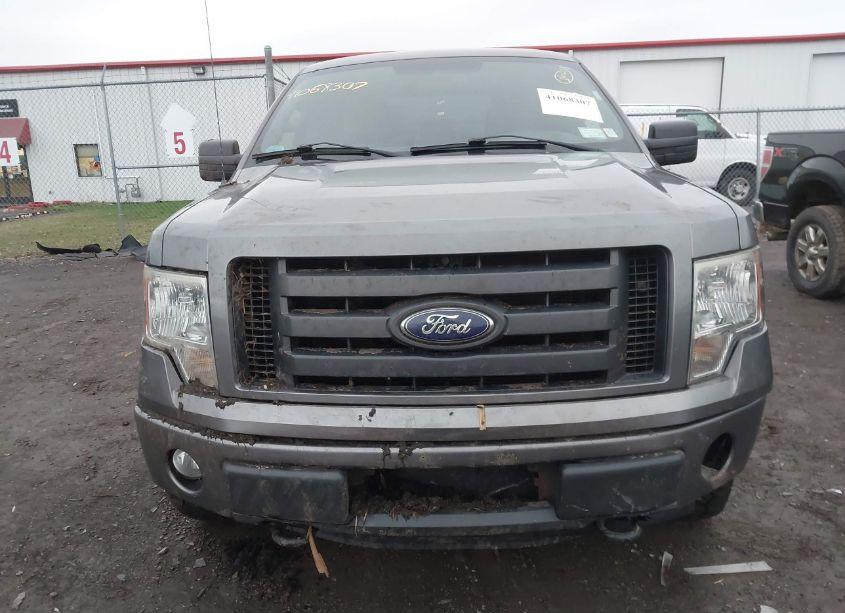 Photo 12 of 2012 Ford F-150 STX (VIN 1FTFX1EF1CFB43310)